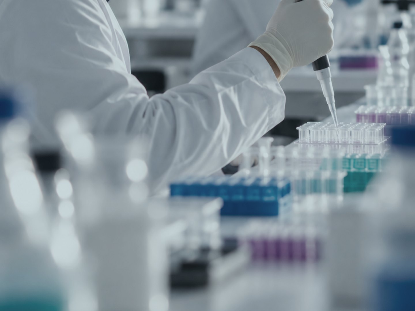 Researcher working in the laboratory